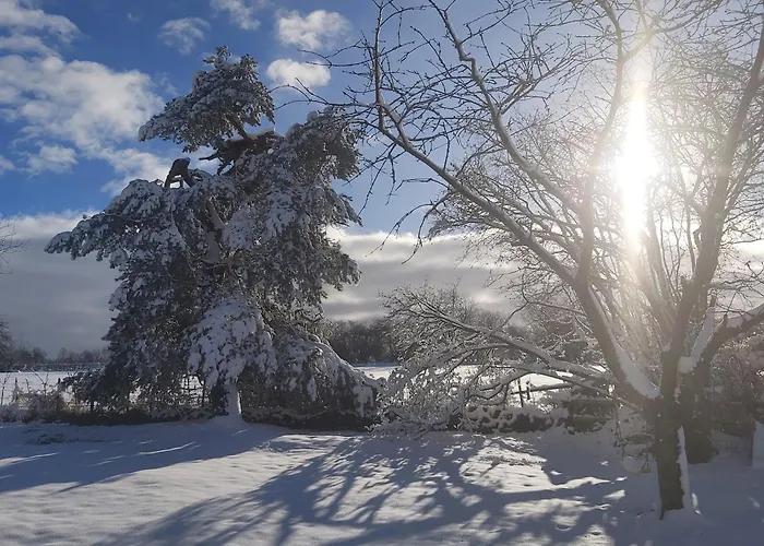 House Ardennes Blue In Theux Near Holiday home *